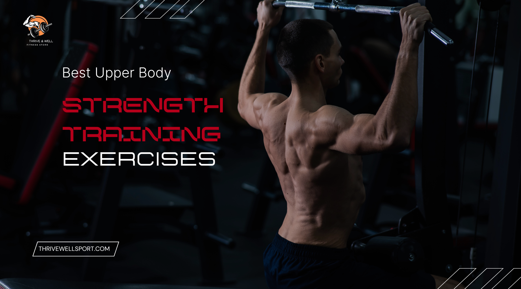 Best Upper Body Strength Training Exercises 