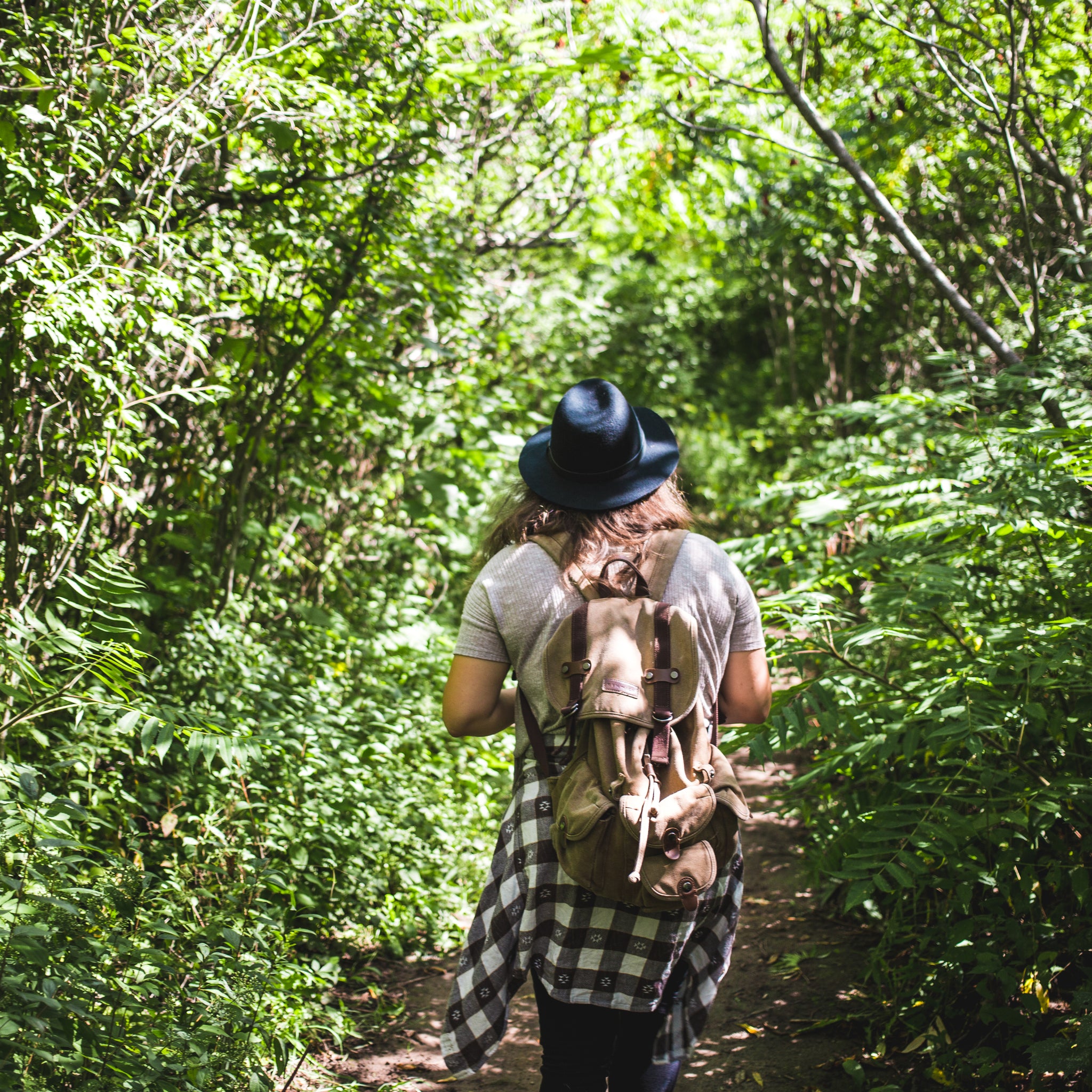 Hiking in Brush
